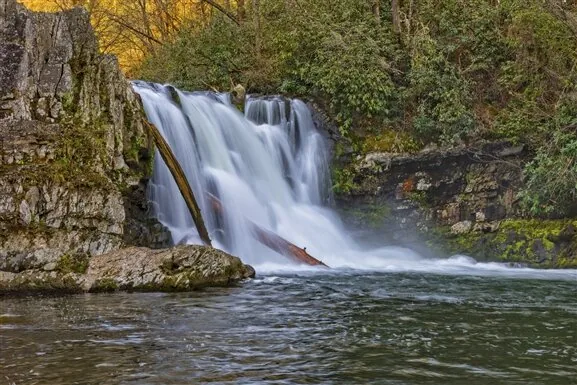 Abrams Falls Trail