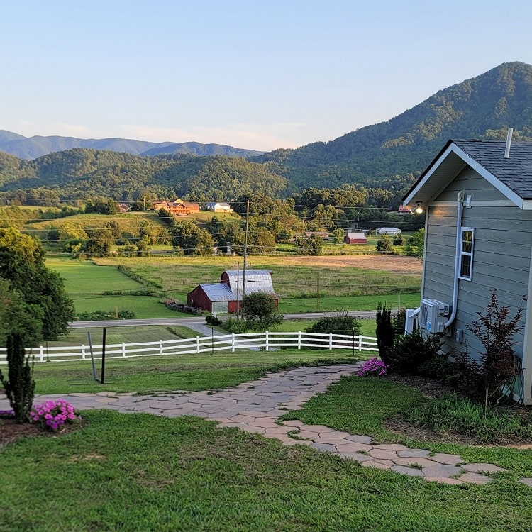 Country Delight Green Slider 6-min