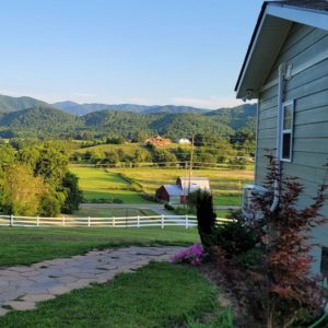 Country Delight Green Slider 8-min