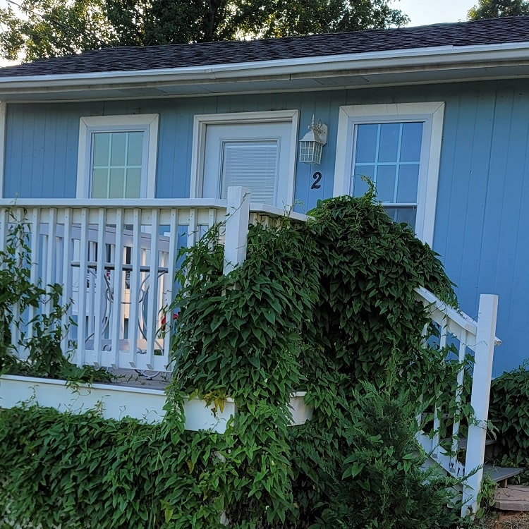 Delightful Light Blue Slider 6-min