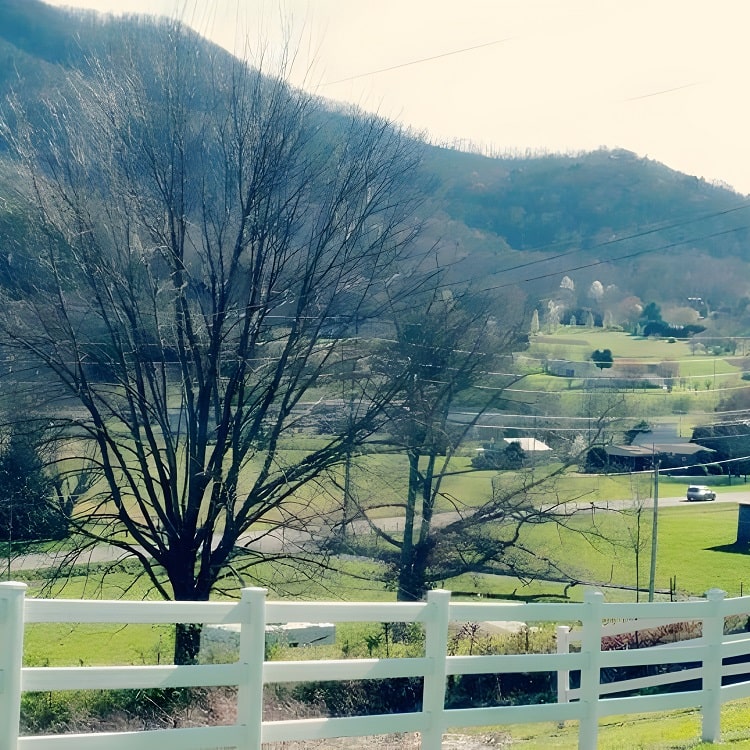 Laurel Falls Room New Gallery 6-min