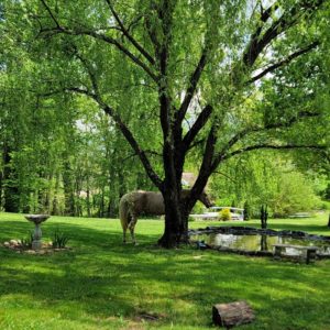 Laurel Falls Room New Gallery 7-min