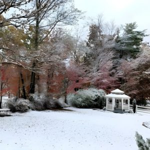 Laurel Falls Room New Gallery 8-min