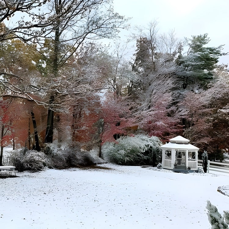 Laurel Falls Room New Gallery 8-min