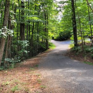 Unforgettable Memories Cabin Gallery 1-min