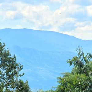 Unforgettable Memories Cabin Gallery 14-min